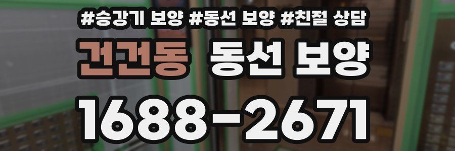 건건동 동선 보양