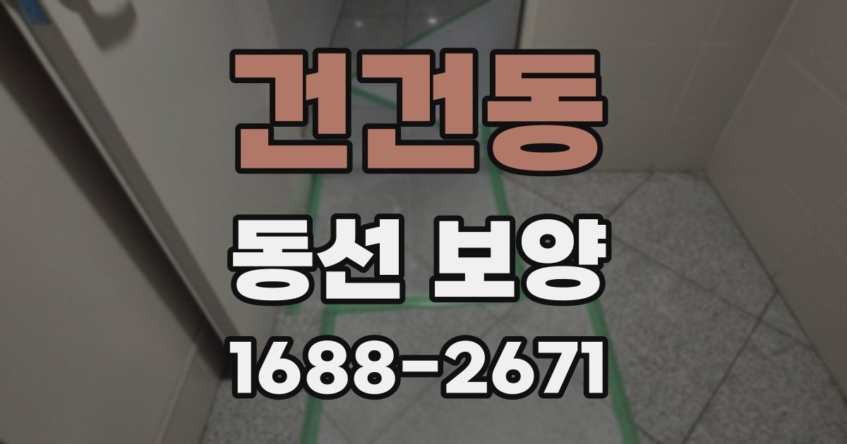 건건동 동선 보양