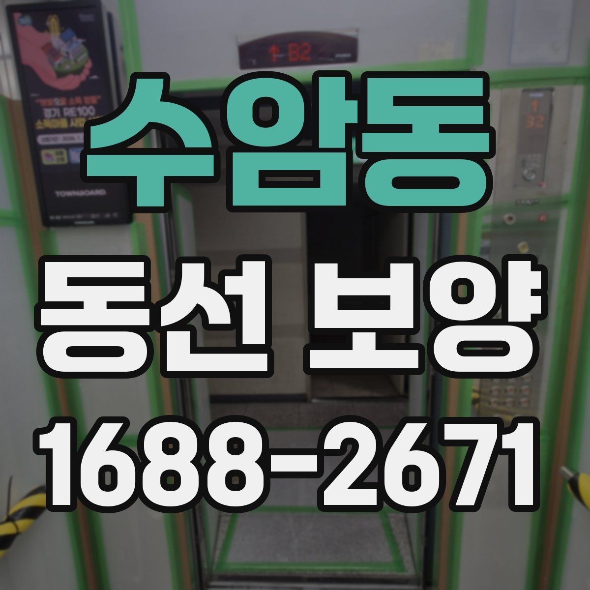 수암동 동선 보양