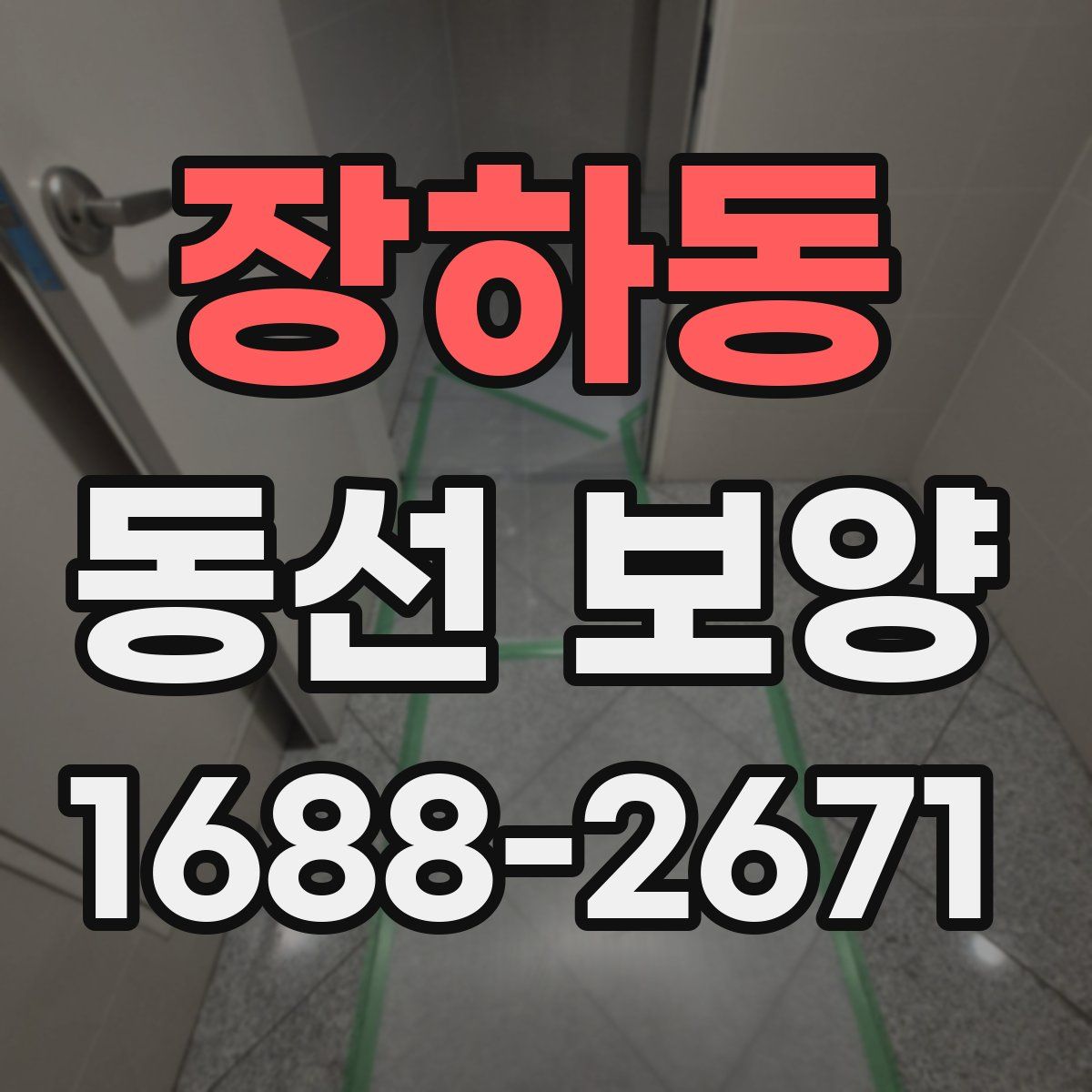 장하동 동선 보양