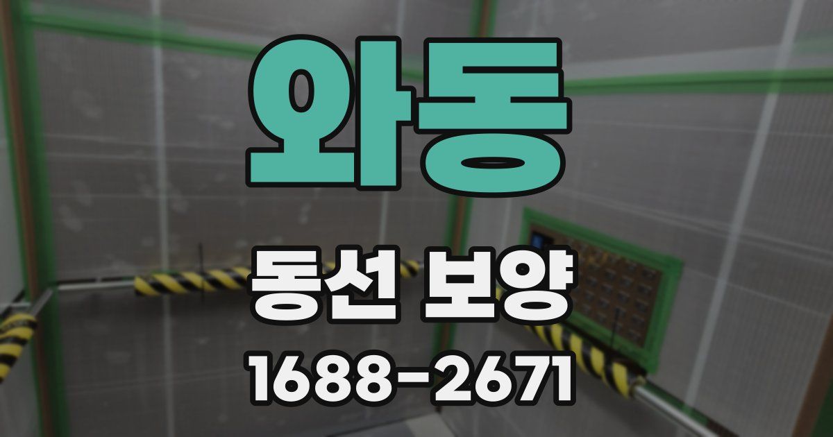 와동 동선 보양