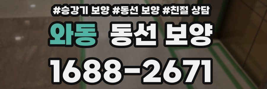와동 동선 보양