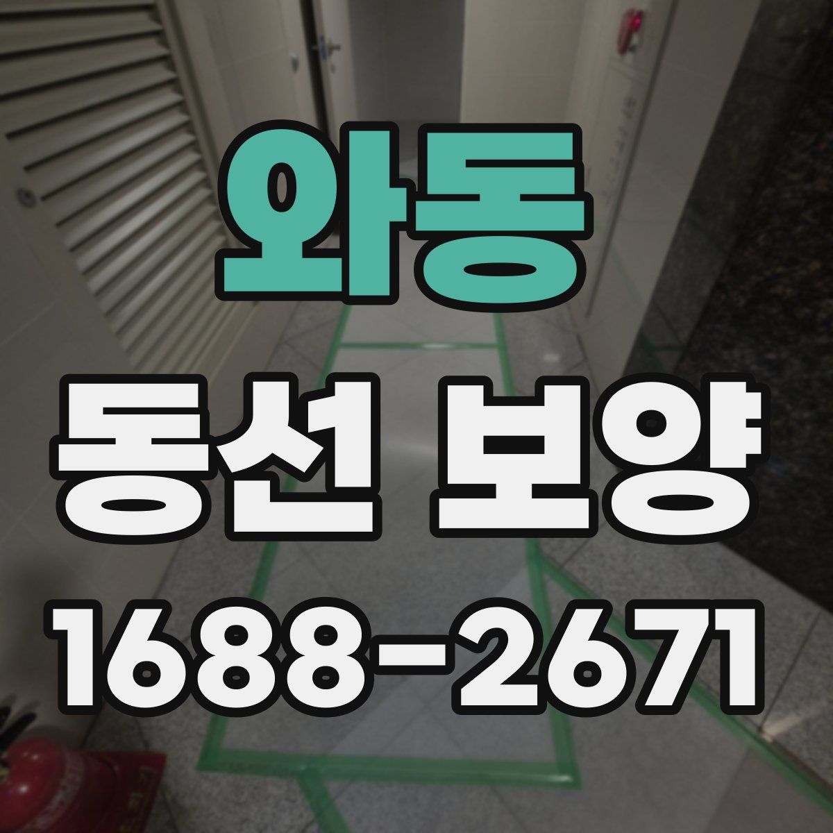 와동 동선 보양