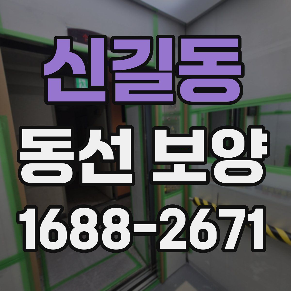 신길동 동선 보양