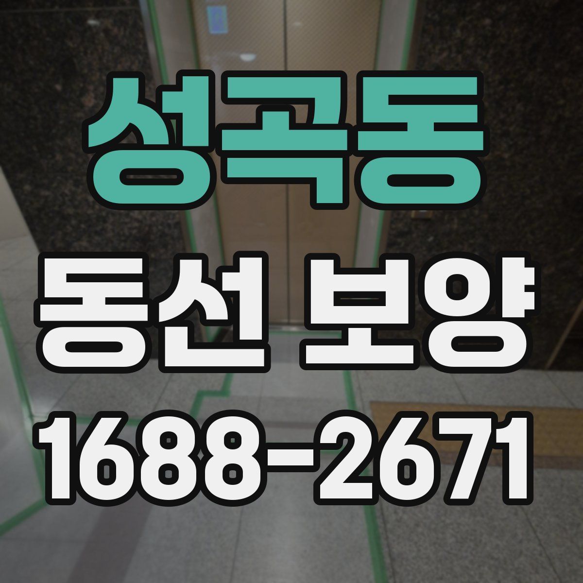 성곡동 동선 보양