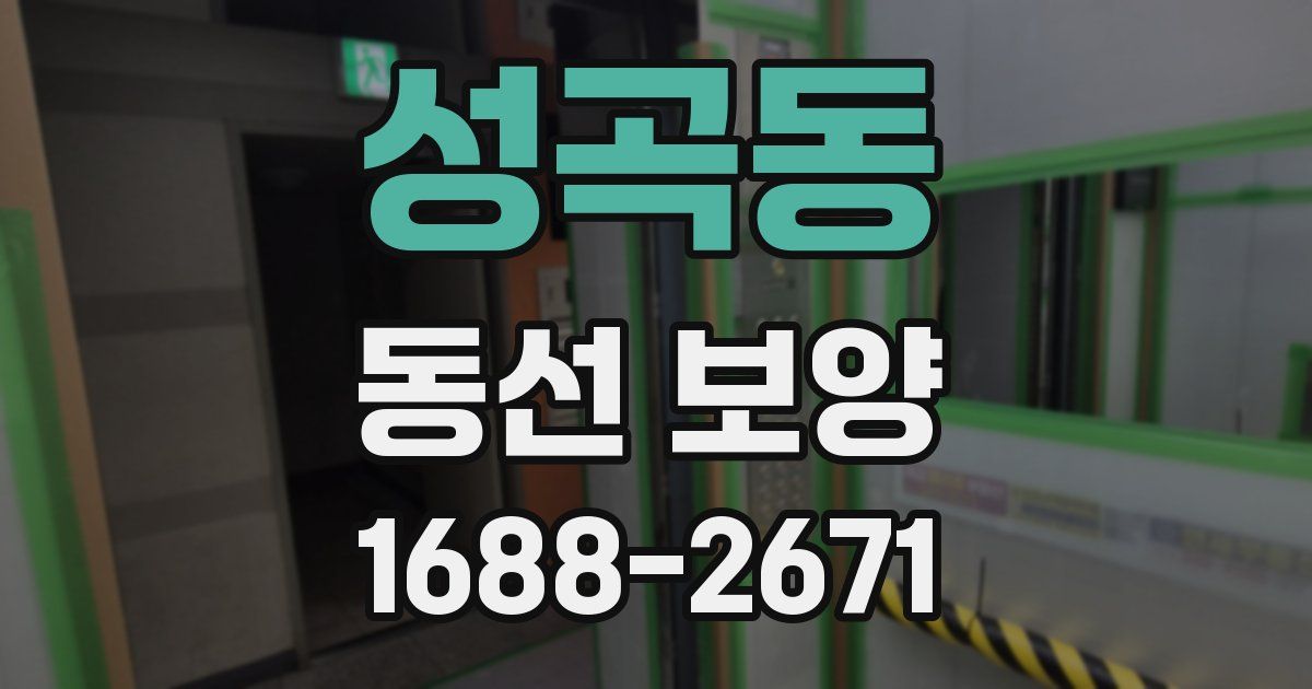 성곡동 동선 보양