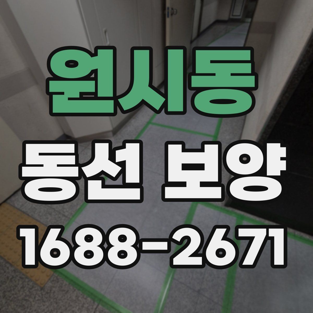 원시동 동선 보양 시공 전 현장 상태 점검하기