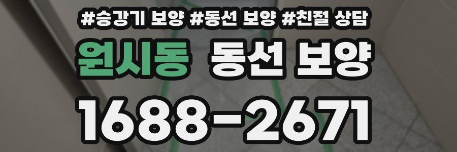 원시동 동선 보양