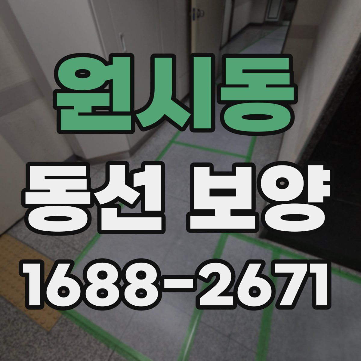 원시동 동선 보양
