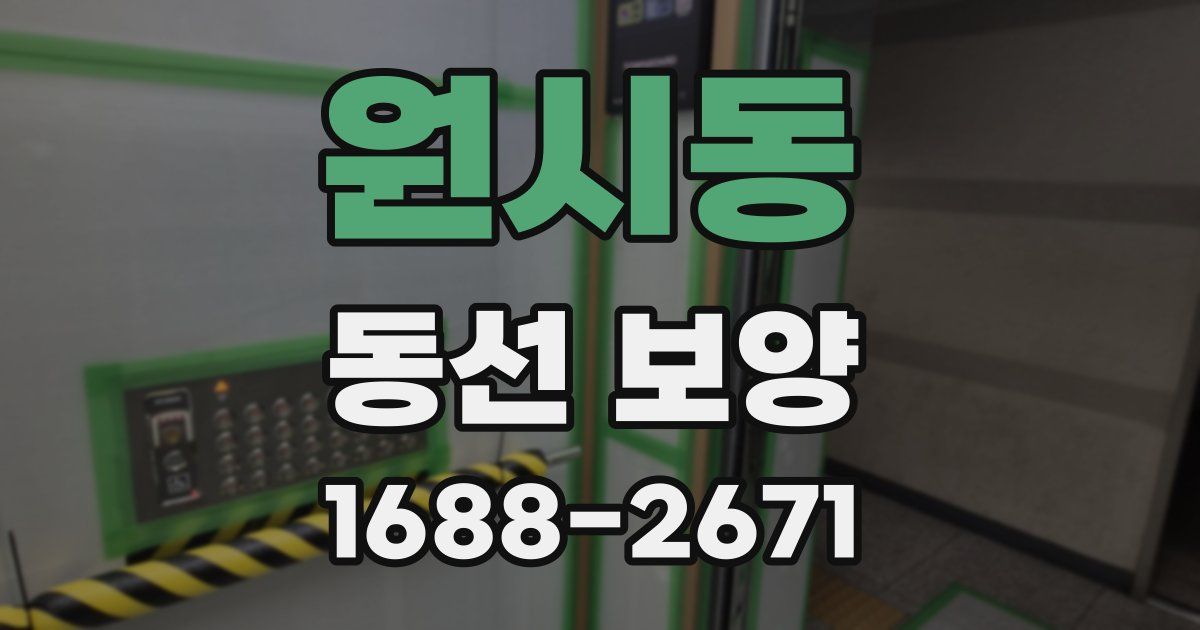 원시동 동선 보양