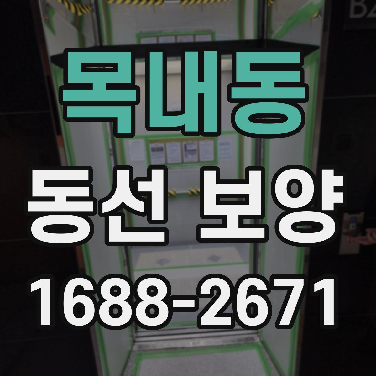 목내동 동선 보양
