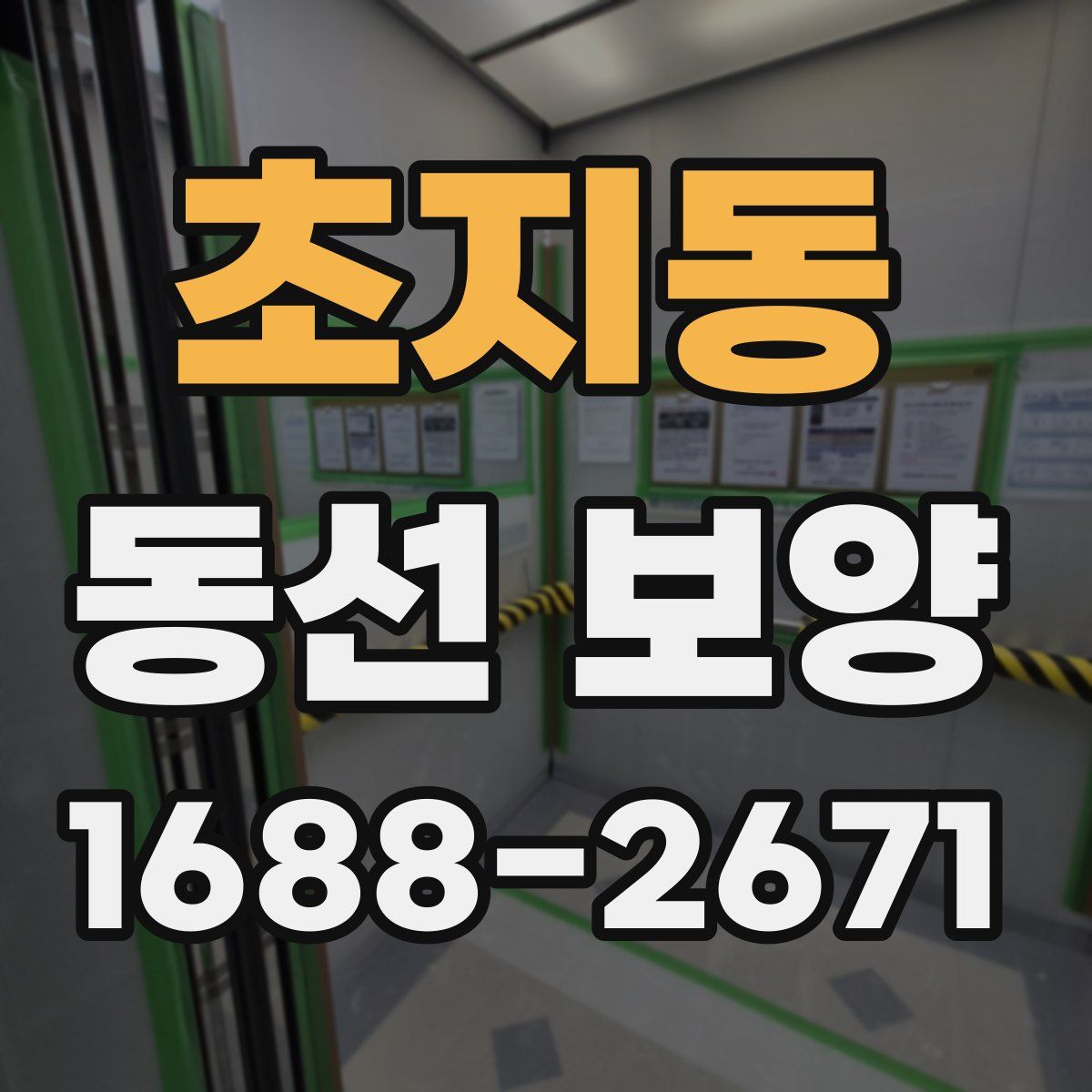 초지동 동선 보양