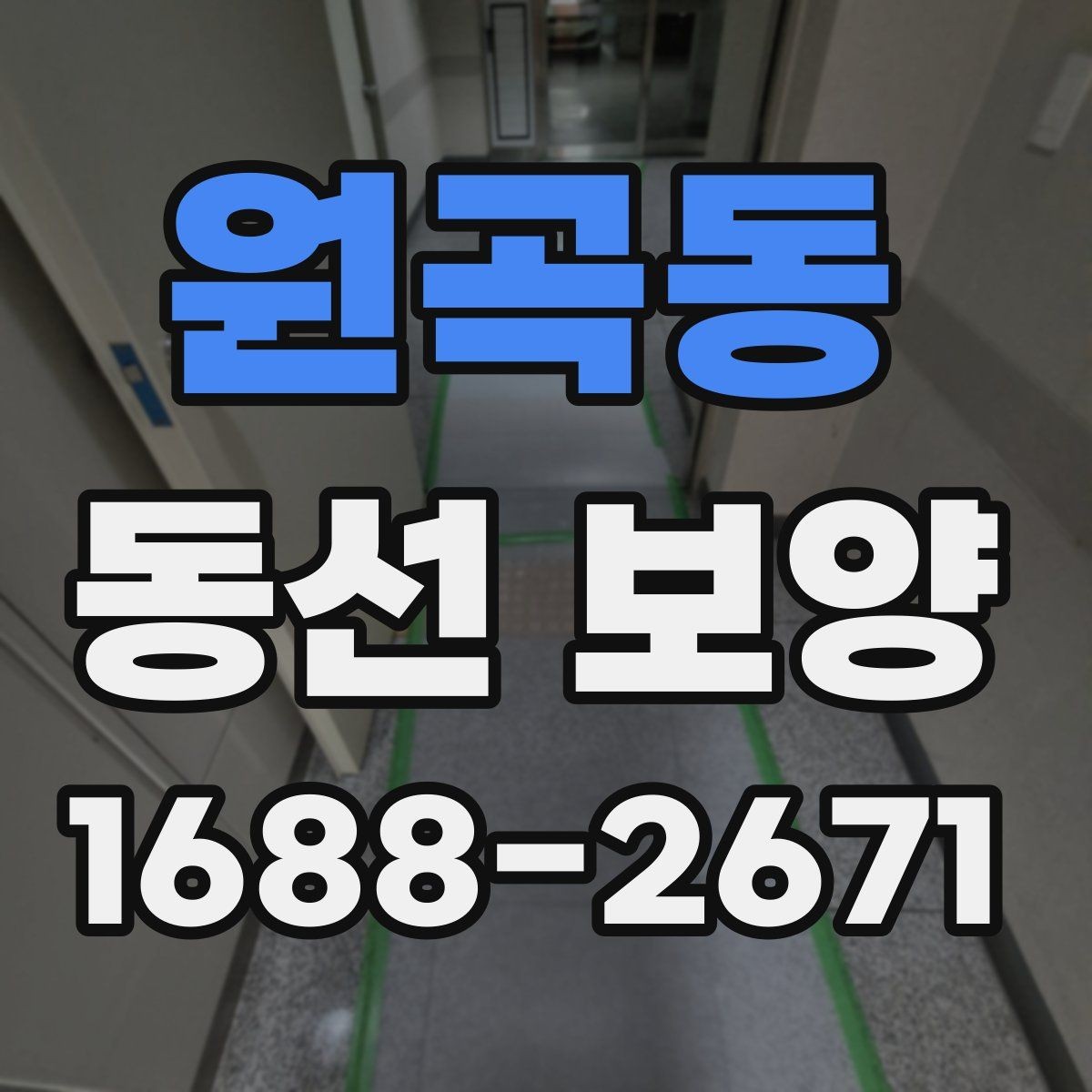원곡동 동선 보양 작업의 효과를 높이는 현장 정비