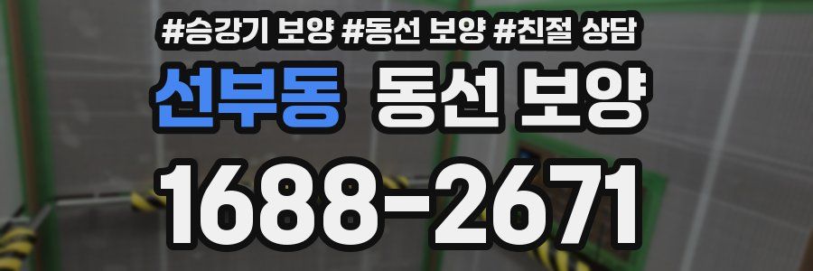 선부동 동선 보양