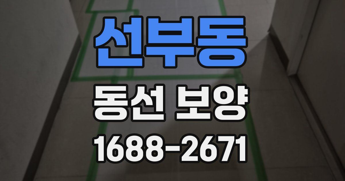 선부동 동선 보양