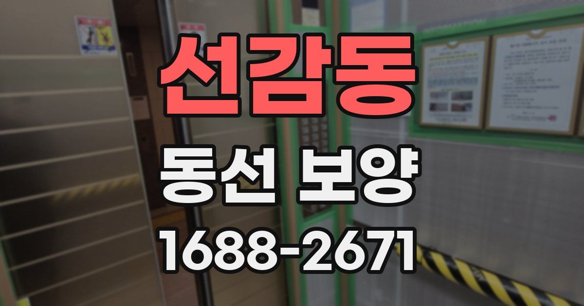선감동 동선 보양