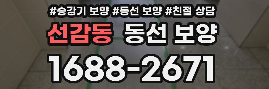 선감동 동선 보양