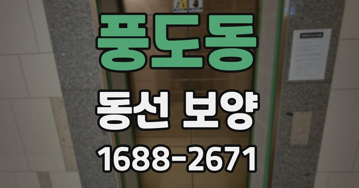 풍도동 동선 보양