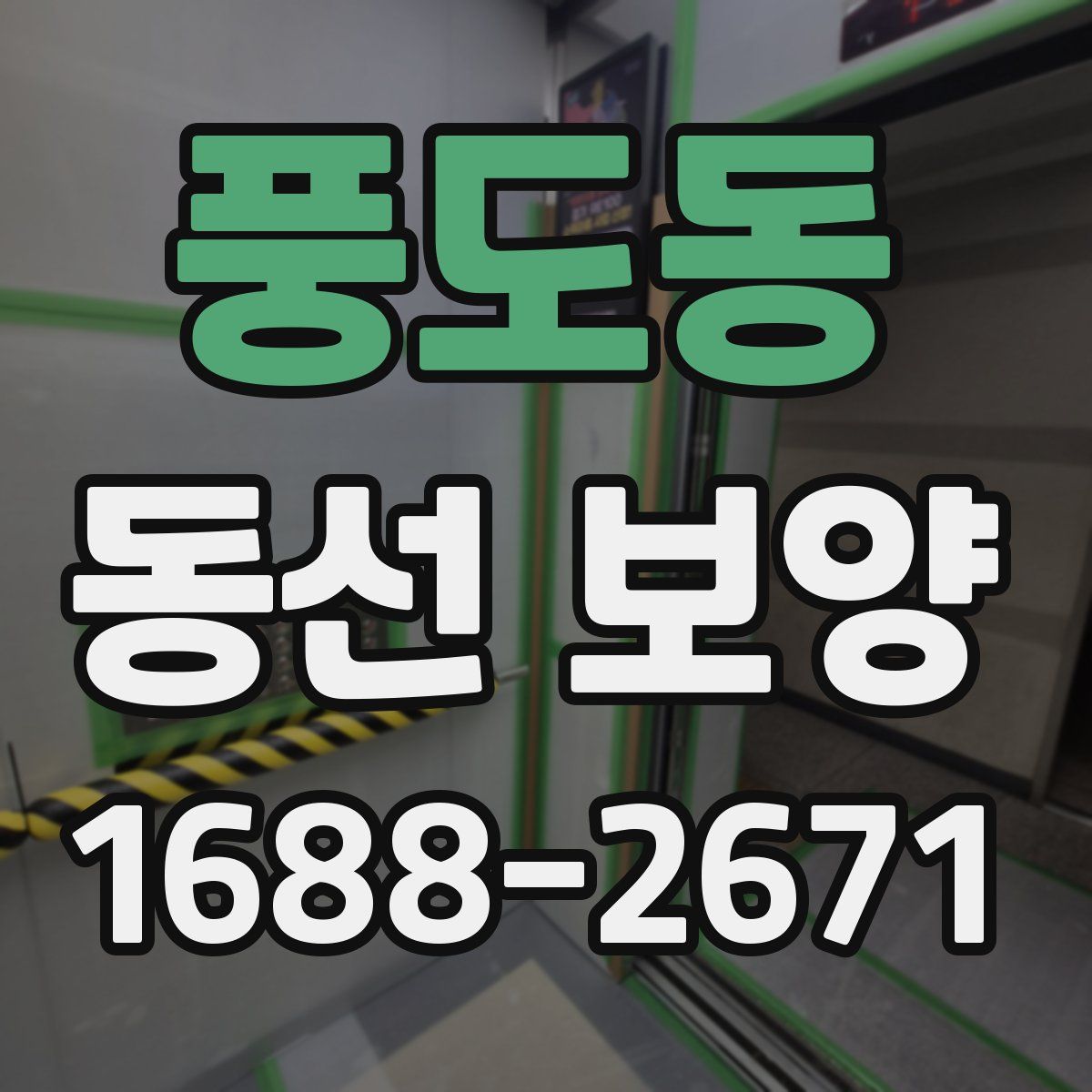 풍도동 동선 보양