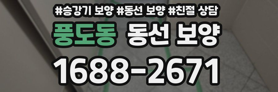 풍도동 동선 보양