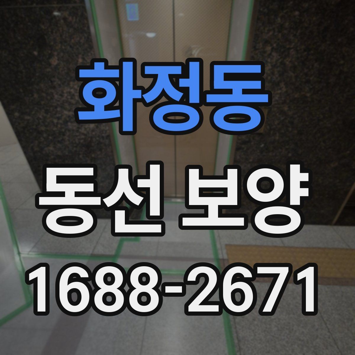 화정동 동선 보양 전후로 체크해야 할 사항