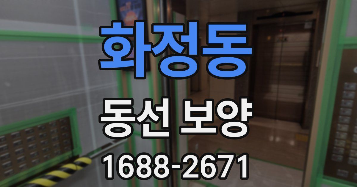 화정동 동선 보양