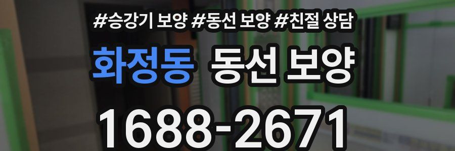 화정동 동선 보양