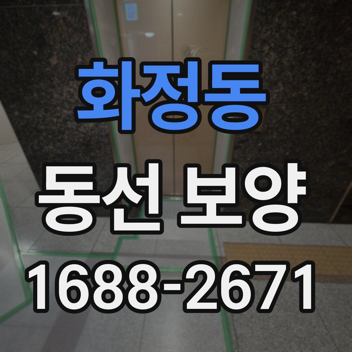 화정동 동선 보양