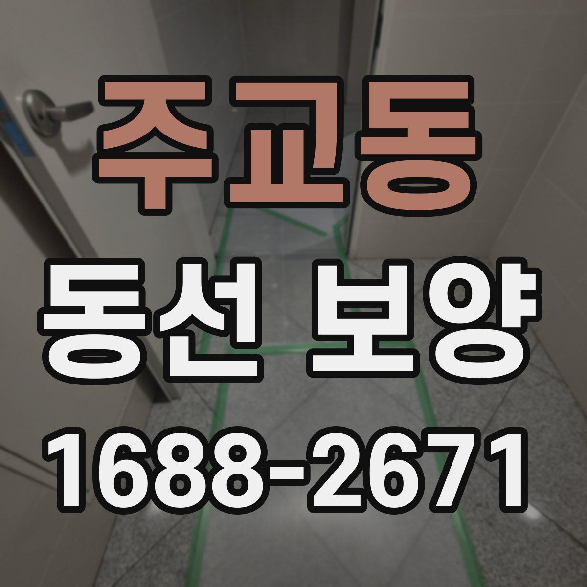 주교동 동선 보양