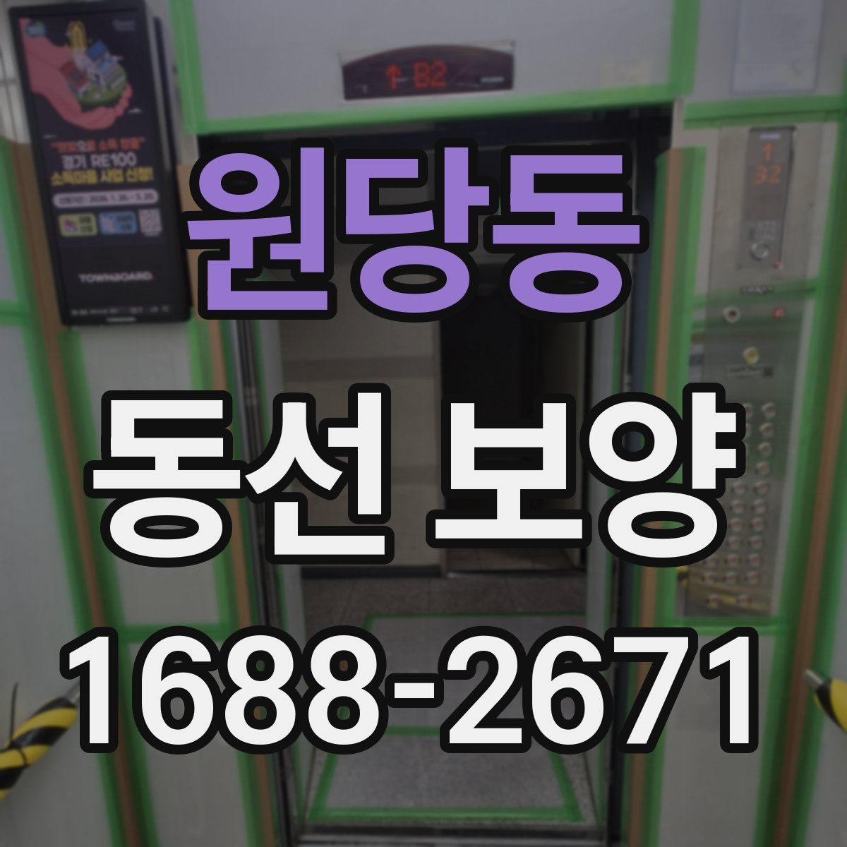 원당동 동선 보양