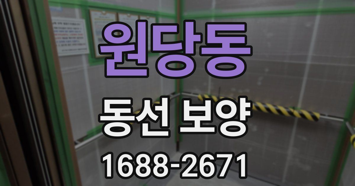 원당동 동선 보양