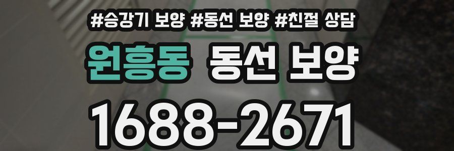 원흥동 동선 보양