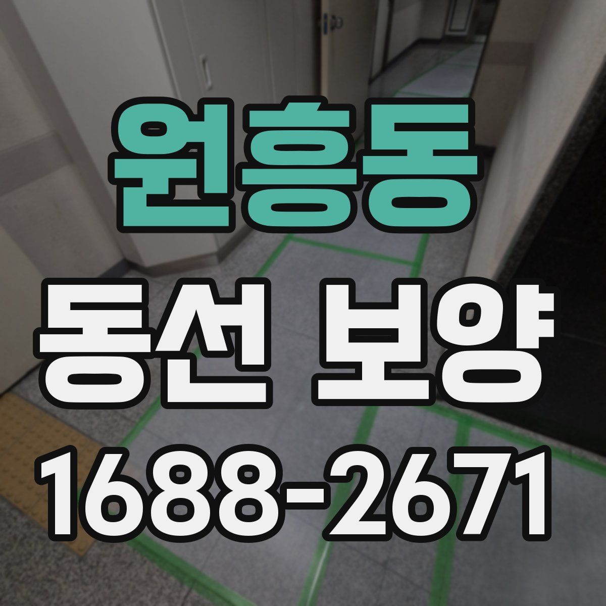 원흥동 동선 보양