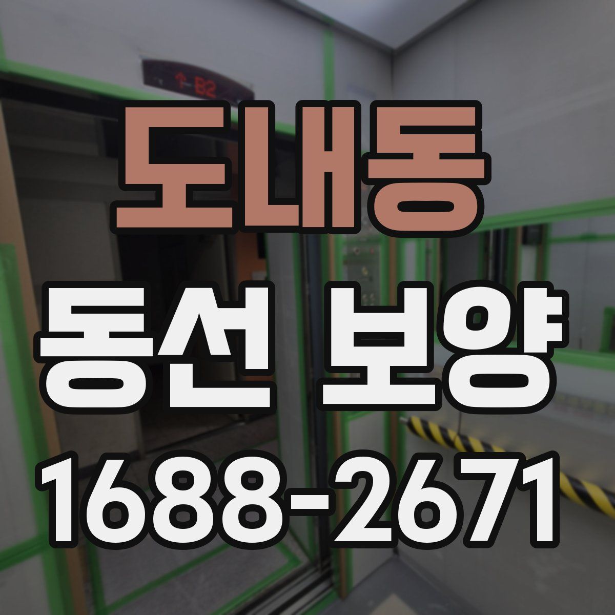 도내동 동선 보양