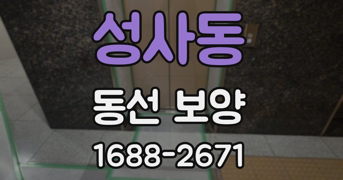 성사동 동선 보양