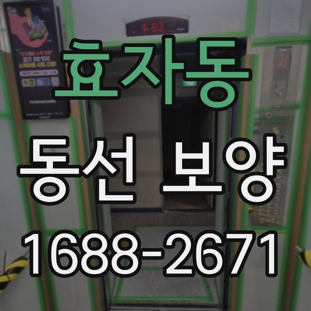 효자동 동선 보양 비용을 절감할 때 주의할 점