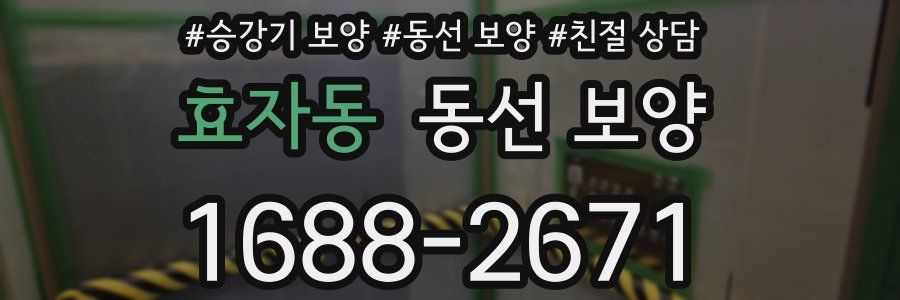 효자동 동선 보양