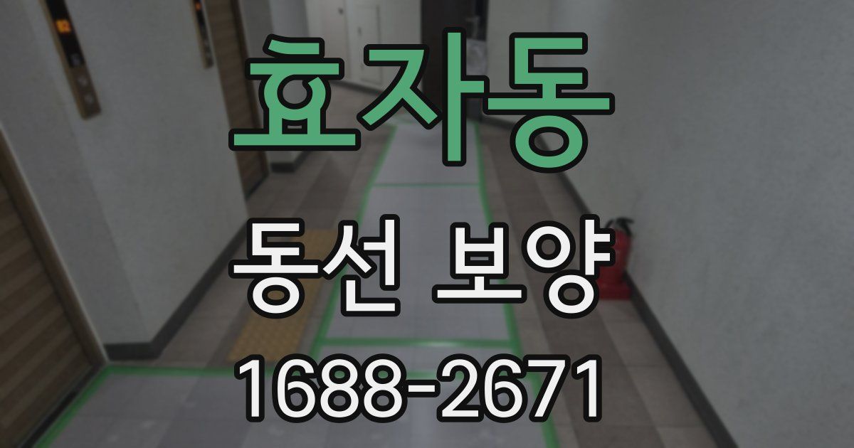 효자동 동선 보양