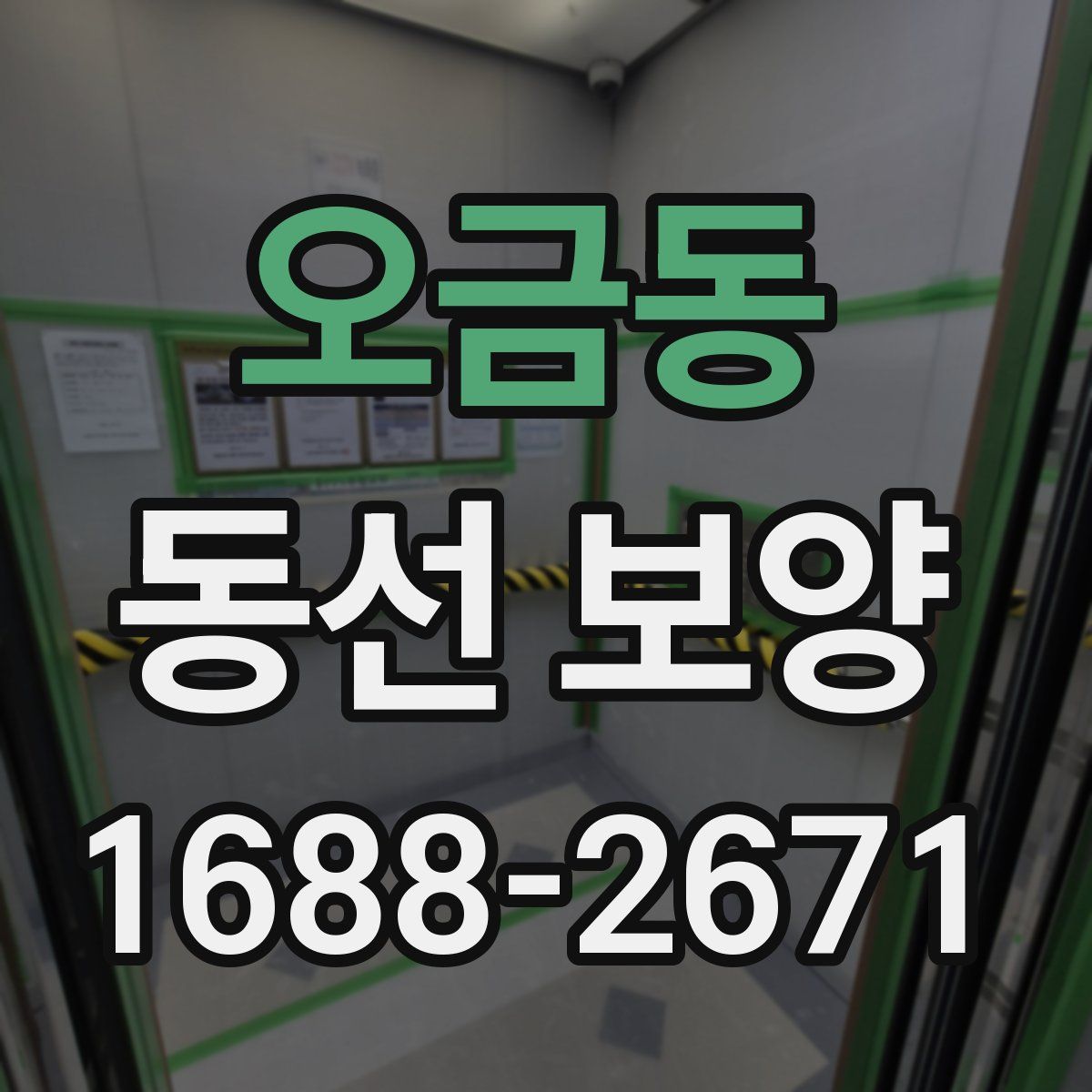 오금동 동선 보양