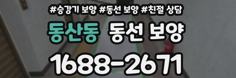 동산동 동선 보양