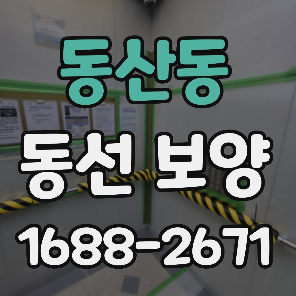 동산동 동선 보양
