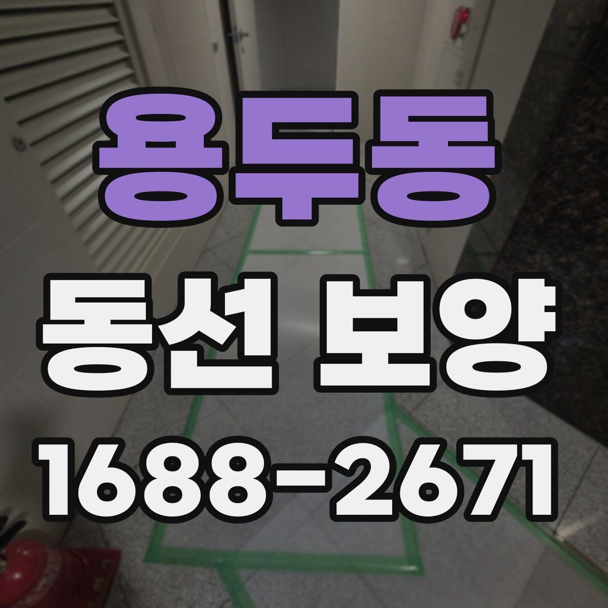 용두동 동선 보양 적용 시기와 적절한 타이밍