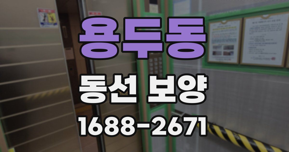 용두동 동선 보양