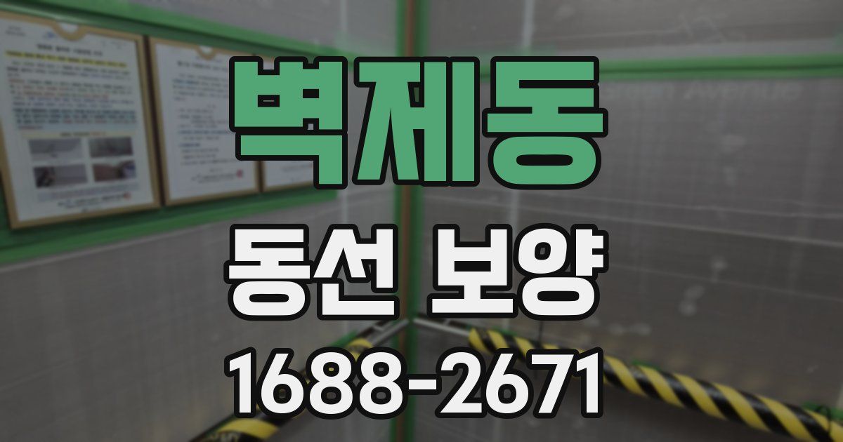벽제동 동선 보양