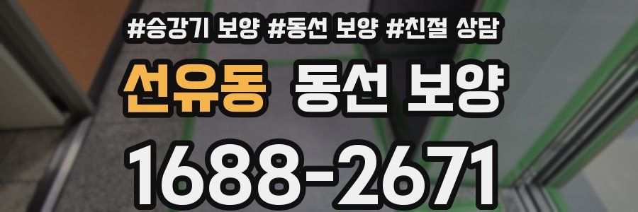 선유동 동선 보양