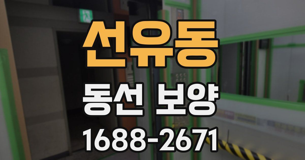 선유동 동선 보양