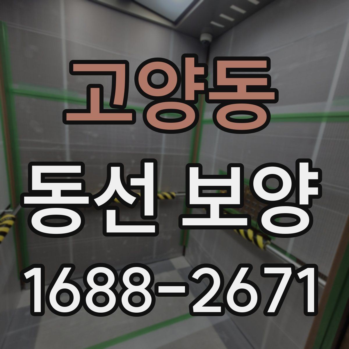 고양동 동선 보양 자재 선택 시 살펴볼 기준