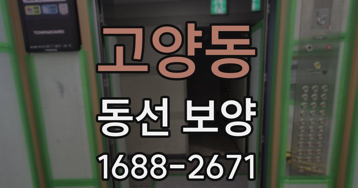 고양동 동선 보양