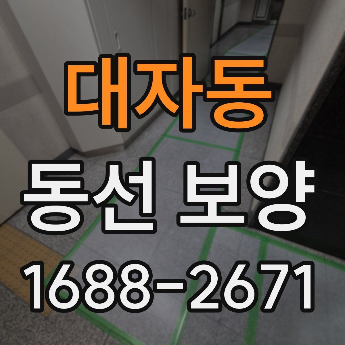 대자동 동선 보양 작업을 진행할 때 주의할 점