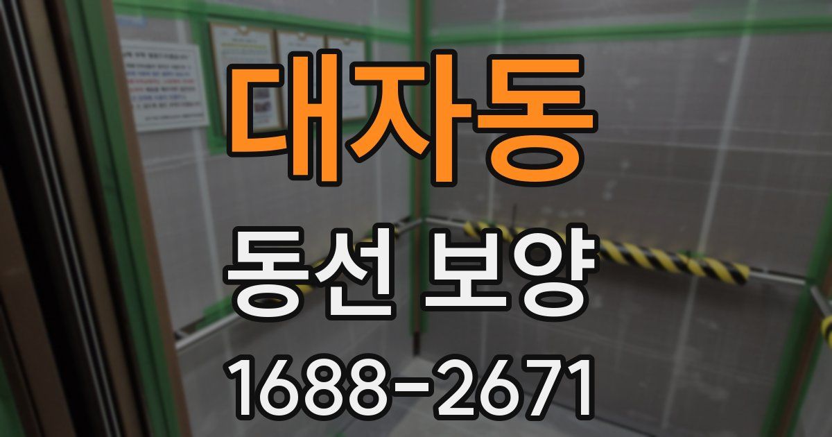 대자동 동선 보양